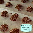 Peanut Free No-Bake Cookies {Foodie Friday}