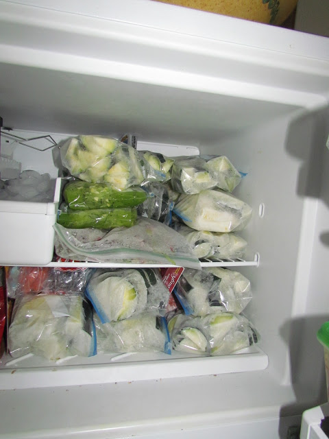 Preserve zucchini in qt bags for the perfect portion