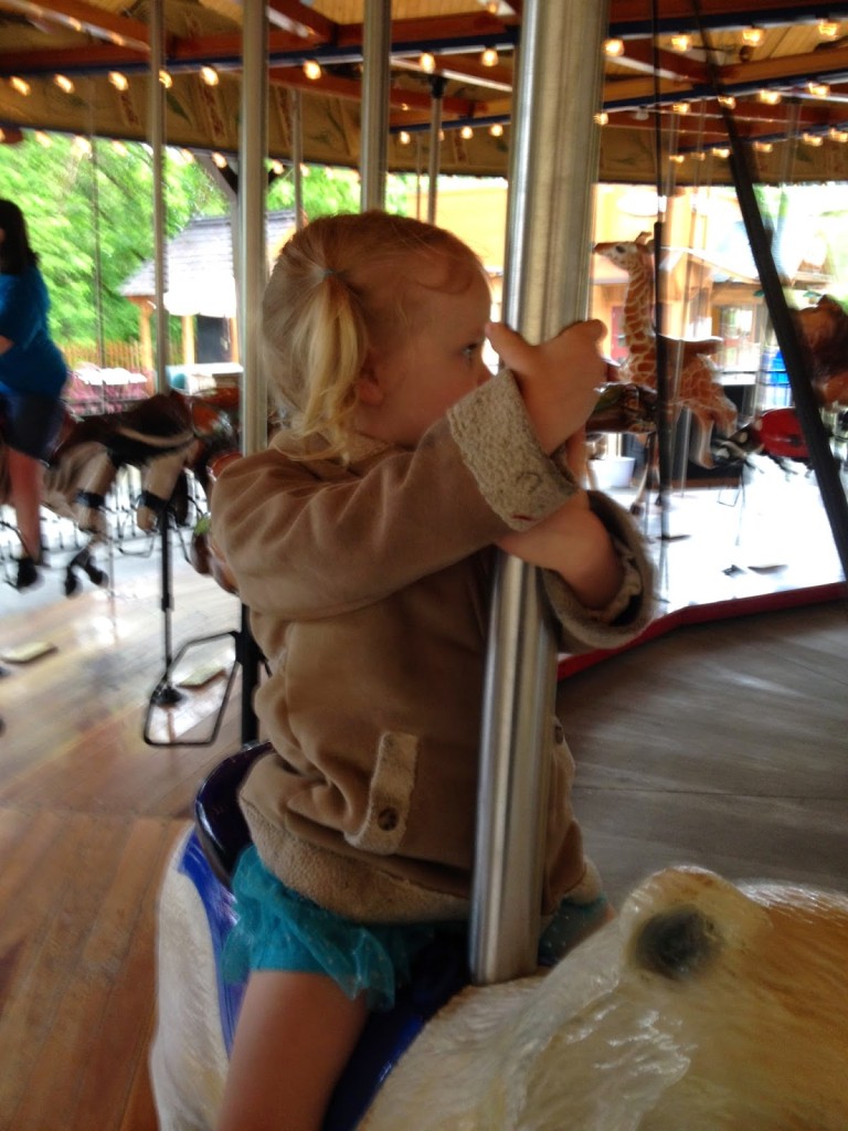 Conservation Carousel at Hogle Zoo