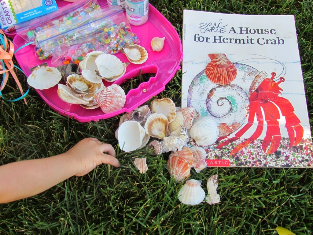 A House for Hermit Crab Seashell Table Centerpiece
