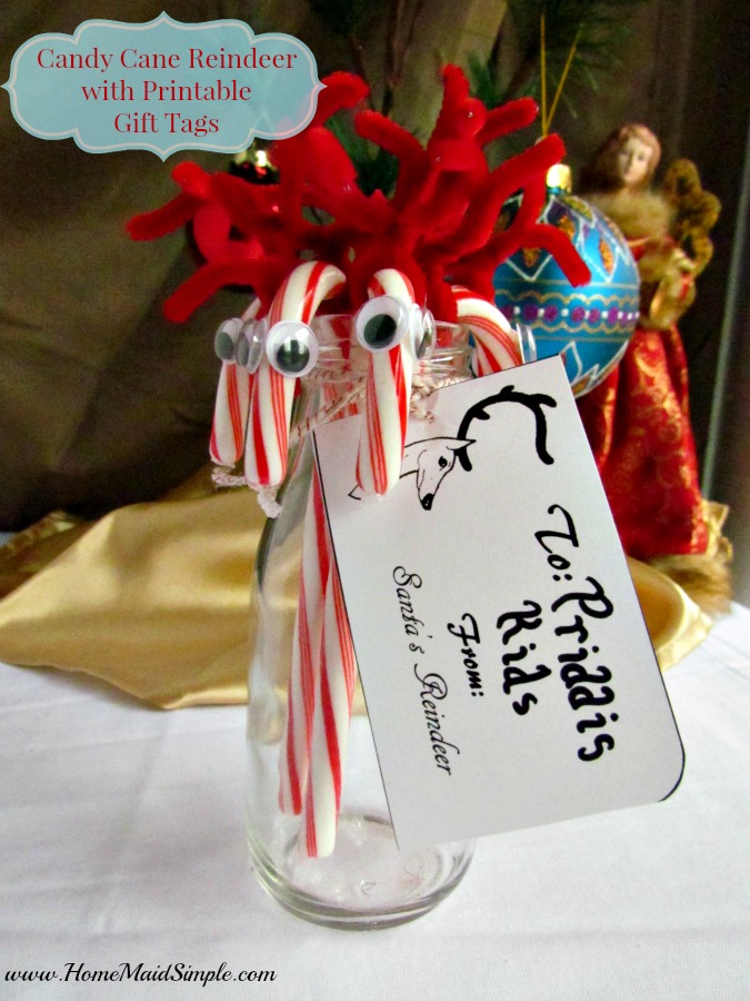 Leave a treat for Santa's Reindeer and enjoy the Candy Cane Reindeer Santa's Reindeer leave behind