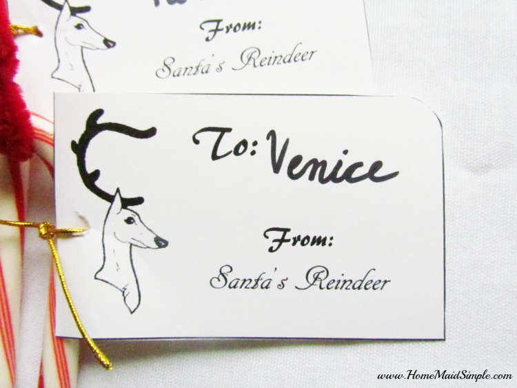 Santa's Reindeer Gift Tags