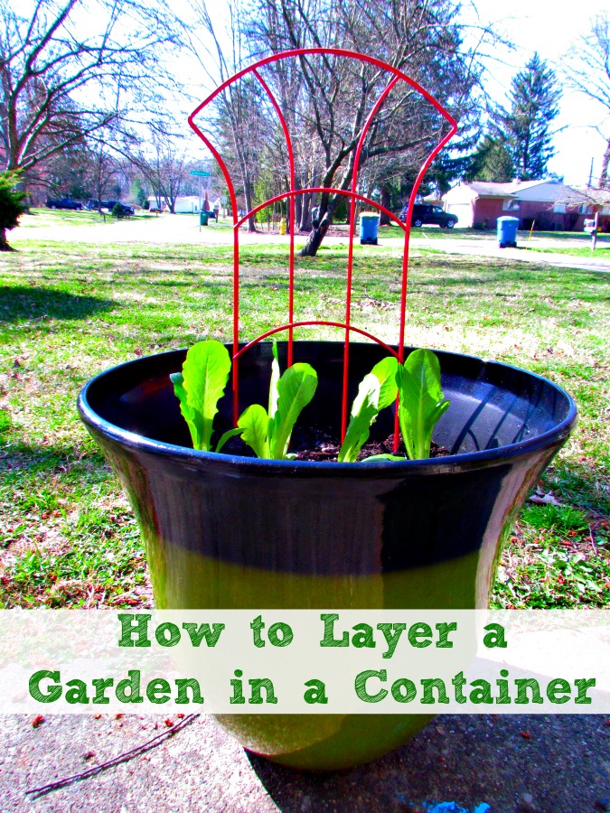 Layer a veggie garden in a container is easier than you might think. #LoveYourLawn #ad