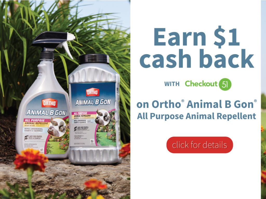 Earn $1 cash back on Ortho® Animal B Gon® with Checkout 51. #OrthoProtects ad