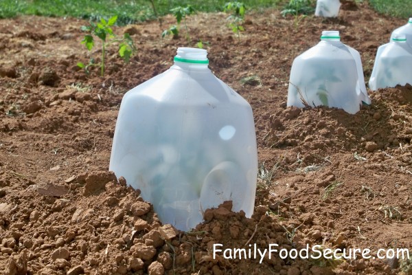 Milk Jug Hot Caps from Family Food Secure