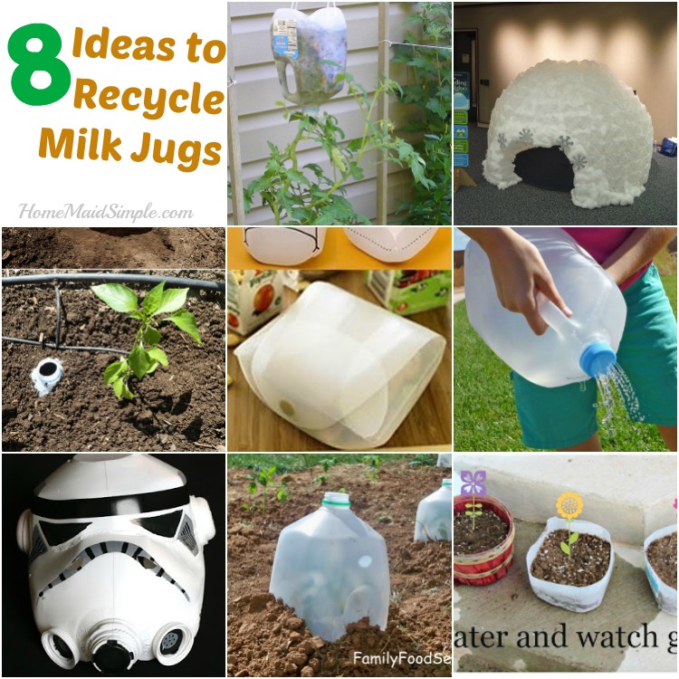 8 simple ideas for recycling Milk Jugs and celebrating Earth Day