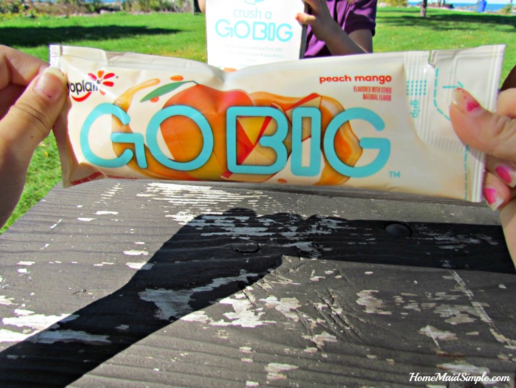 Help your tween go big and crush their dreams. #YoplaitGoBig #ad