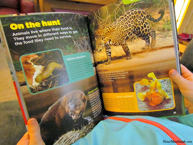 Check out the newest Animal Bites books from Animal Planet - Animals on the Move. ad