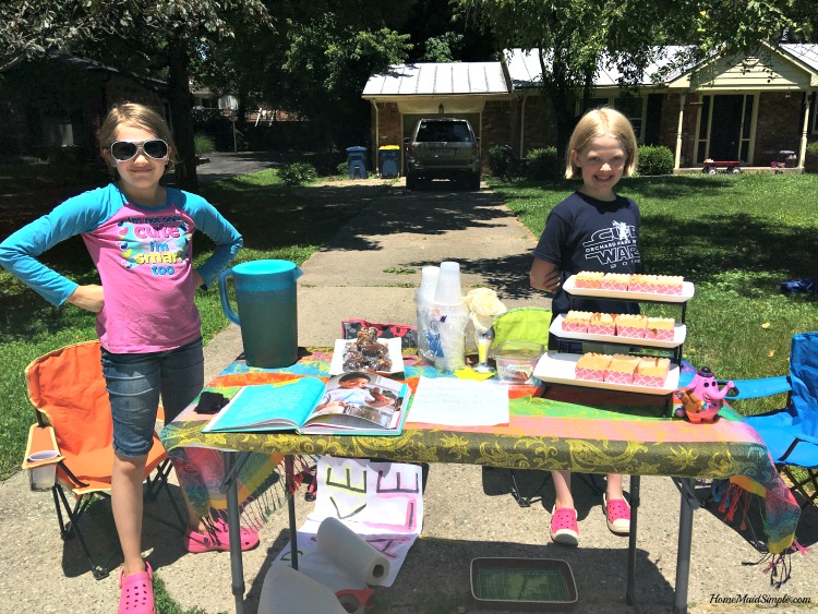 The Lemonade Stand by Kathy Strahs helps kids fight boredom and make a little side money. ad