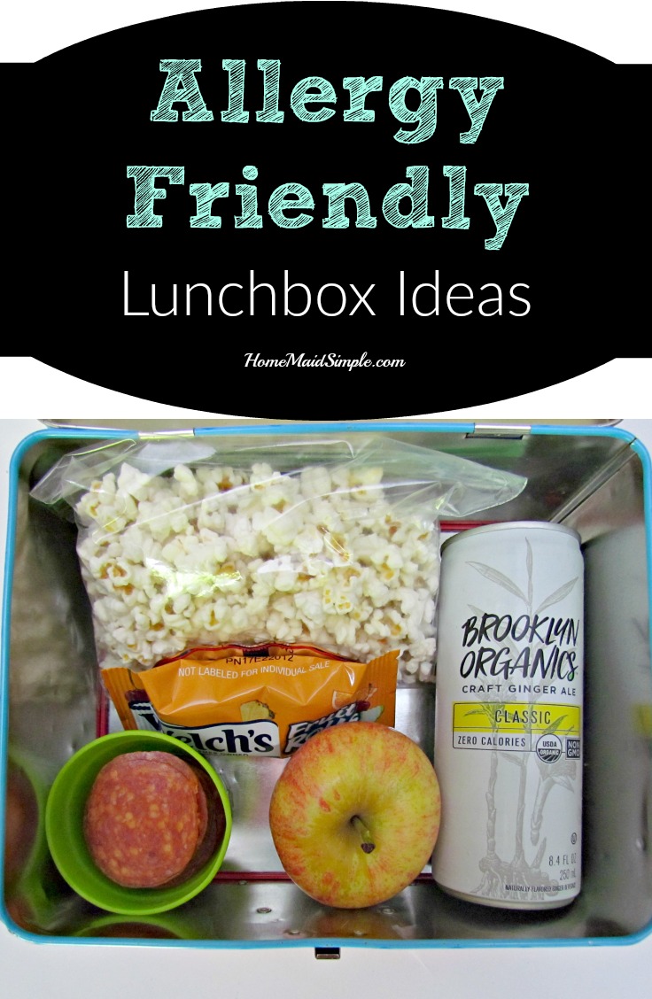 Grab these allergy friendly lunchbox ideas - free from top food allergies, nuts, dairy, wheat, and soy. ad