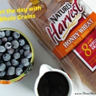 A Whole Grain Challenge and Nature's Harvest Giveaway