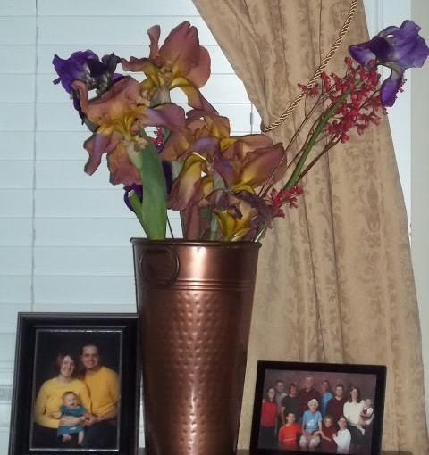 Wordless Wednesday – Fresh Cut Flowers