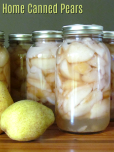 Preserve the natural crisp flavor of pears to enjoy year round with these home canned pears.