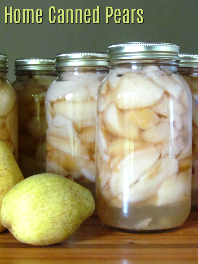 Preserve the natural crisp flavor of pears to enjoy year round with these home canned pears.