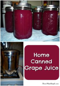 Add a little club soda to this home canned grape juice to celebrate all the holidays this season.