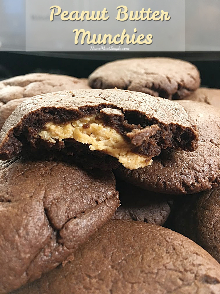 Chocolate cookie with a Peanut Butter filling - it's a Peanut Butter Munchie