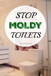 Stop Moldy Toilets