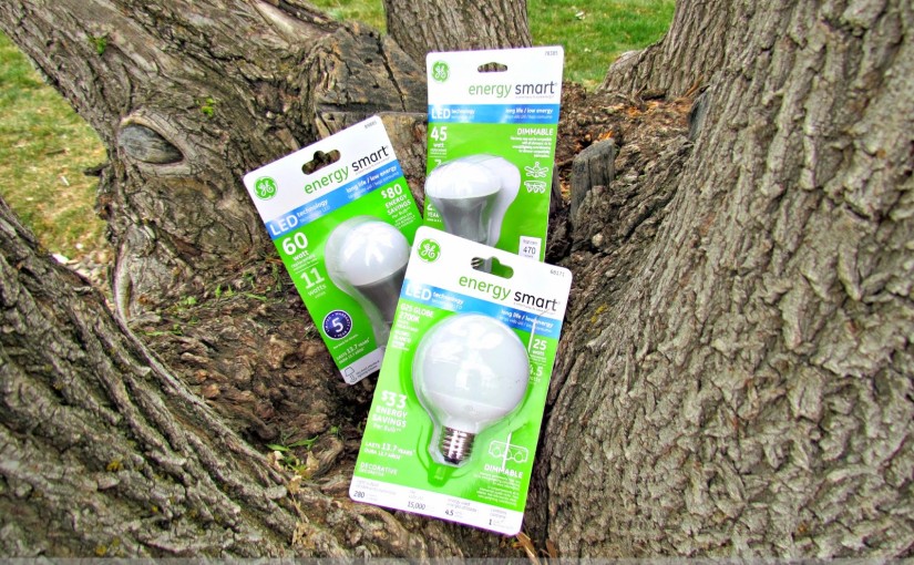 Saving Money with LED Power #LEDSavings #shop