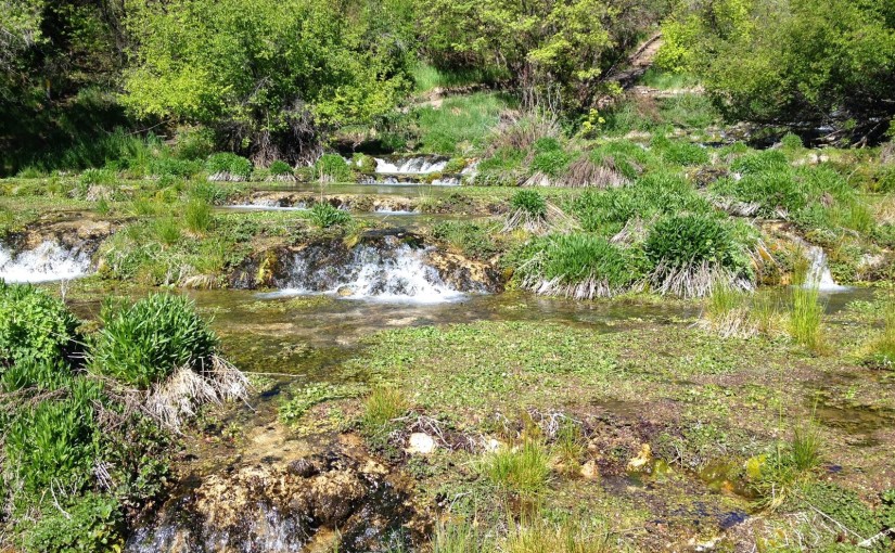 For the Beauty of the Earth