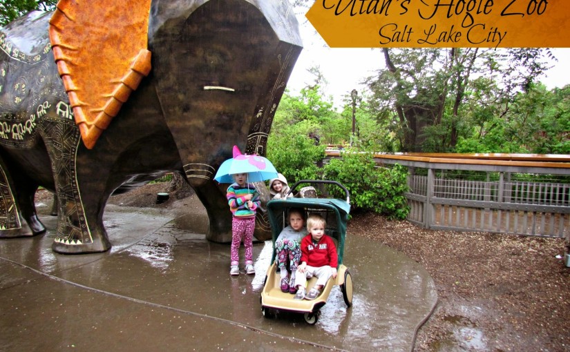 Backyard Tourist: Hogle Zoo