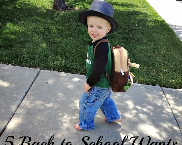 5 Back to School Wants