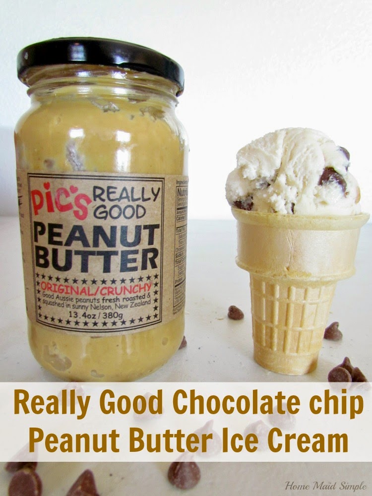 Really-Good-Chocolate-Chip-Peanut-Butter-Ice-Cream