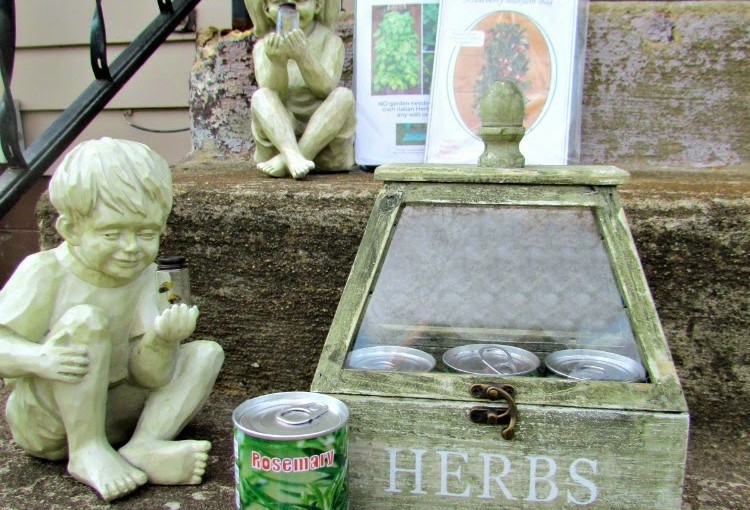 Apartment Gardening {Giveaway}