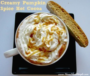 Creamy Pumpkin Spice Hot Cocoa