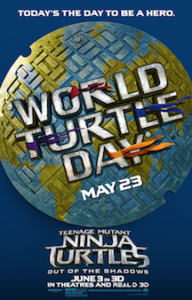 World Turtle Day