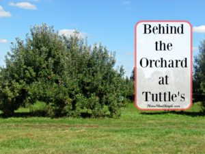 Visit Tuttle Orchards in Central Indiana.