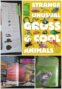 Strange, Unusual, Gross & Cool Animals by Charles Ghinga