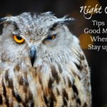 Good Mornings for Night Owls by Christine Hill