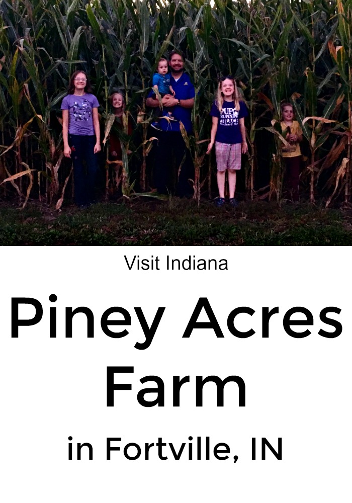 Take a trip to Piney Acres Farm in Fortville, Indiana. Run through the corn maze, and pick up your christmas tree.