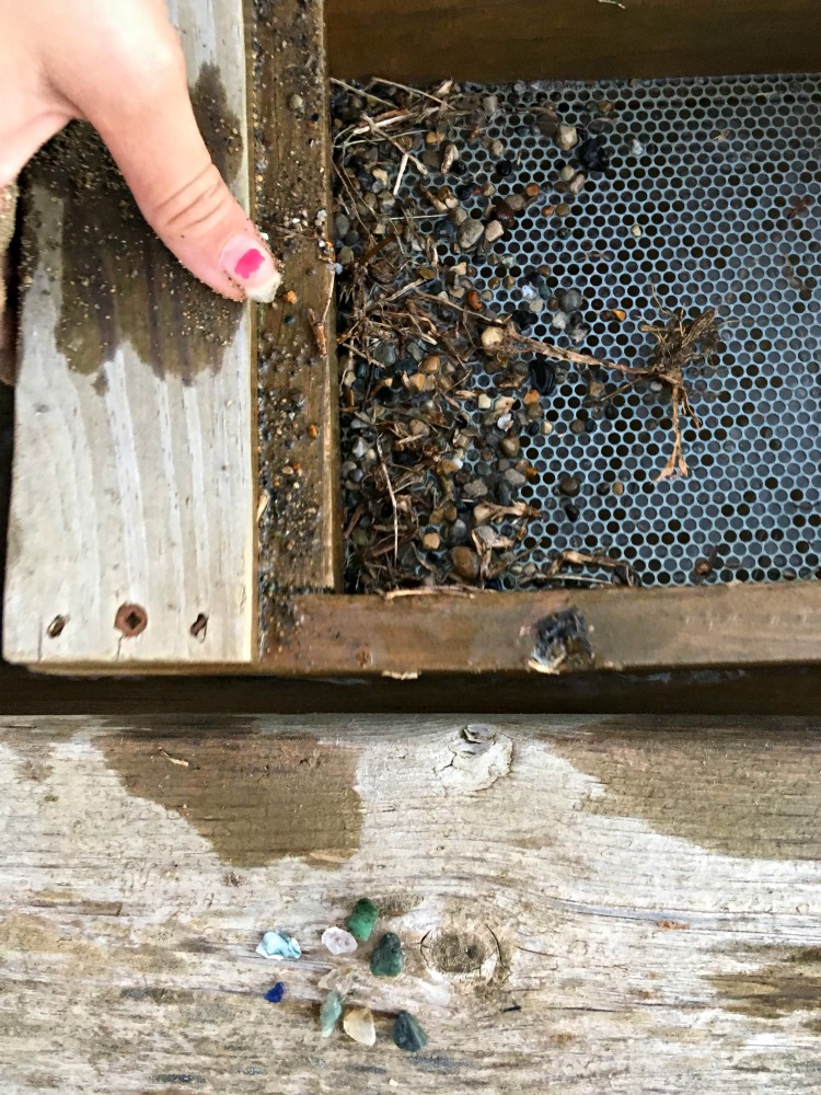 Gem mining at Piney Acres Farm