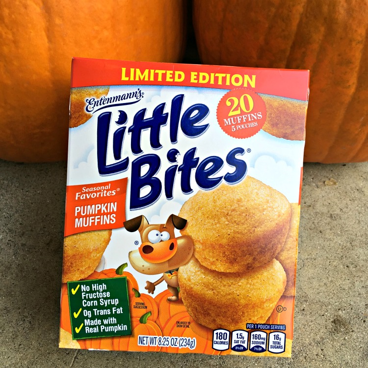 Celebrate fall with Little Bites Pumpkin!