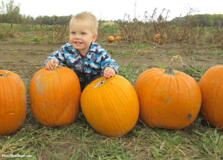 Fall Festival at the end of the Nickel Plate Express. 