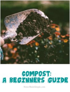 Composting. A Beginners Guide