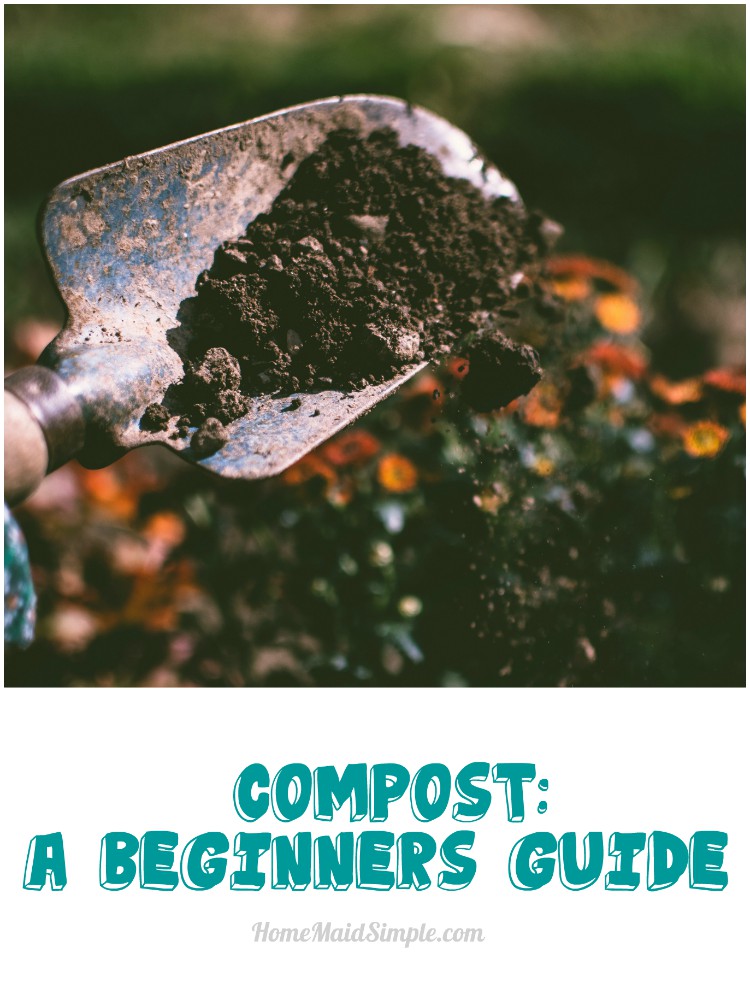 How to compost: A beginner's guide to composting basics