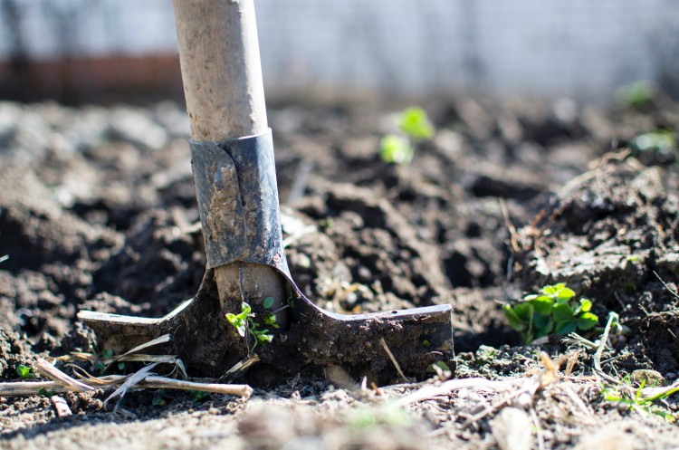 What should you compost?